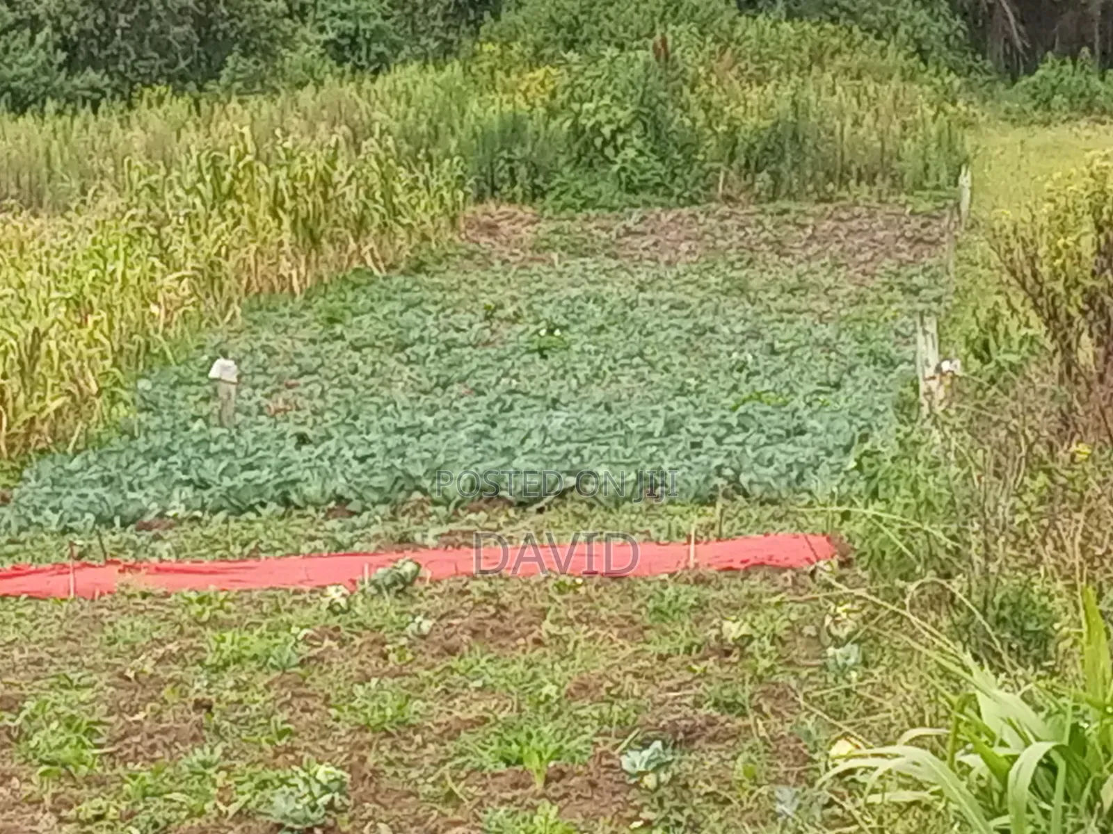 Land for Sale in Dundori Nakuru