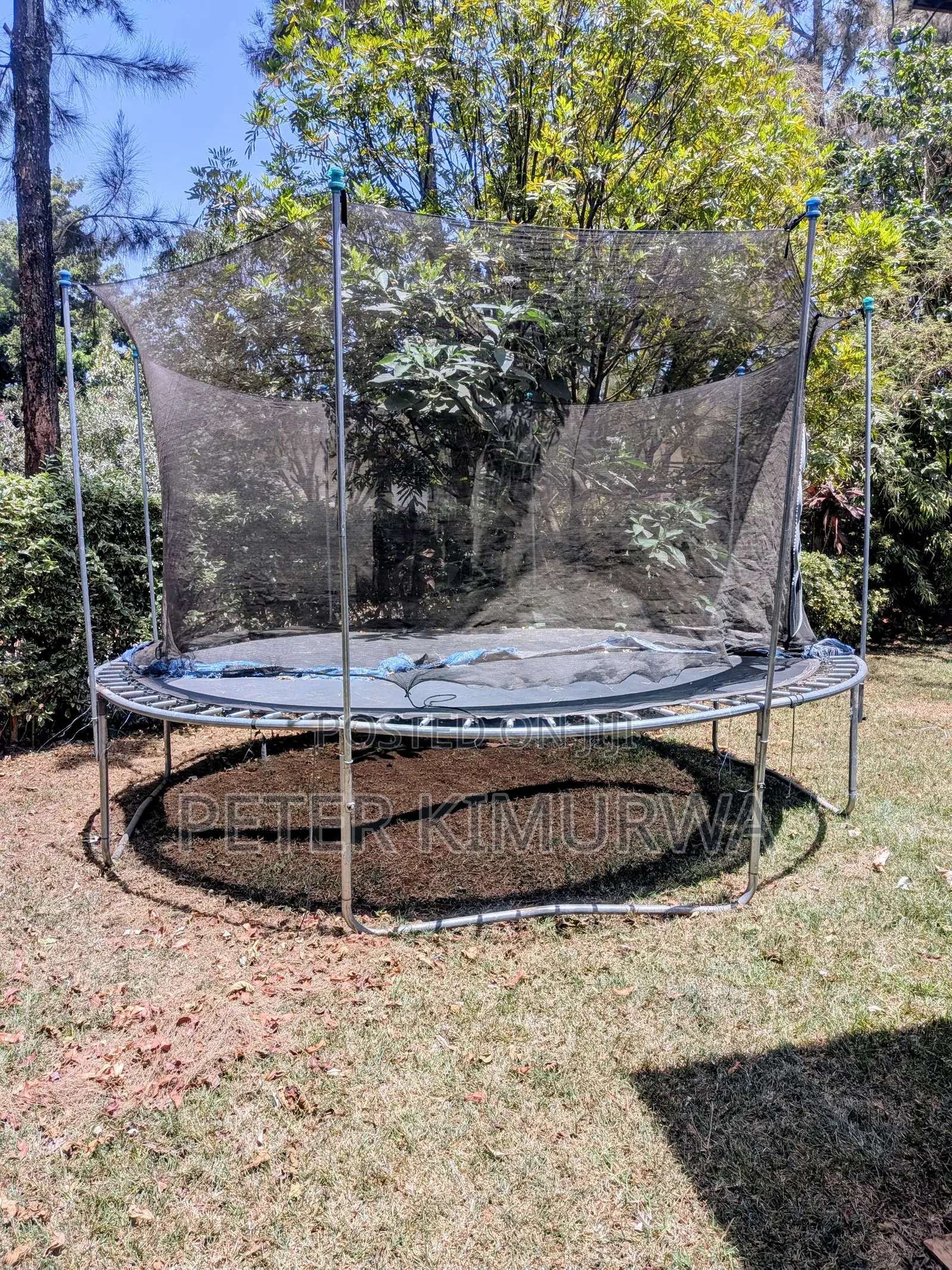 Trampoline