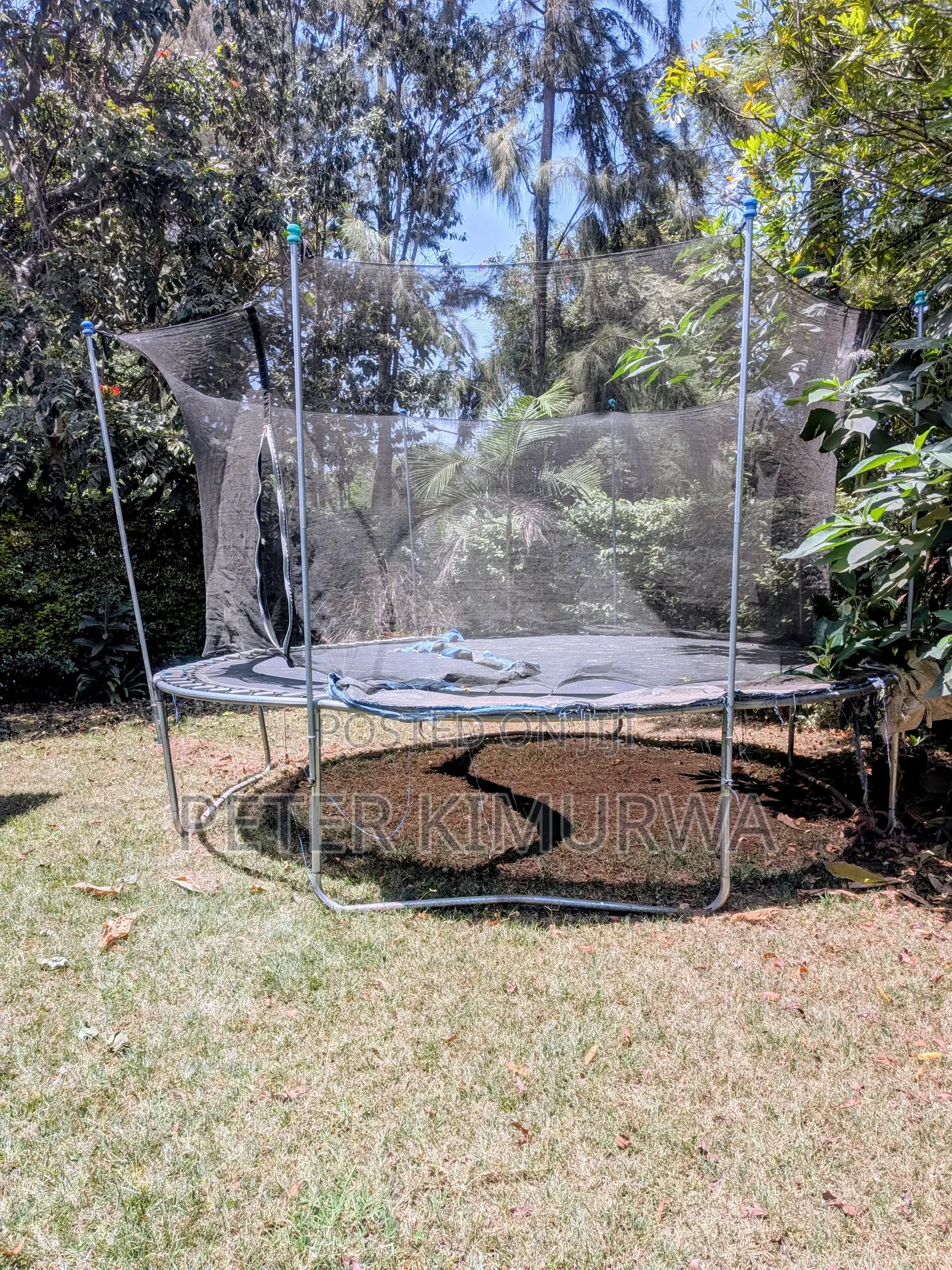 Trampoline