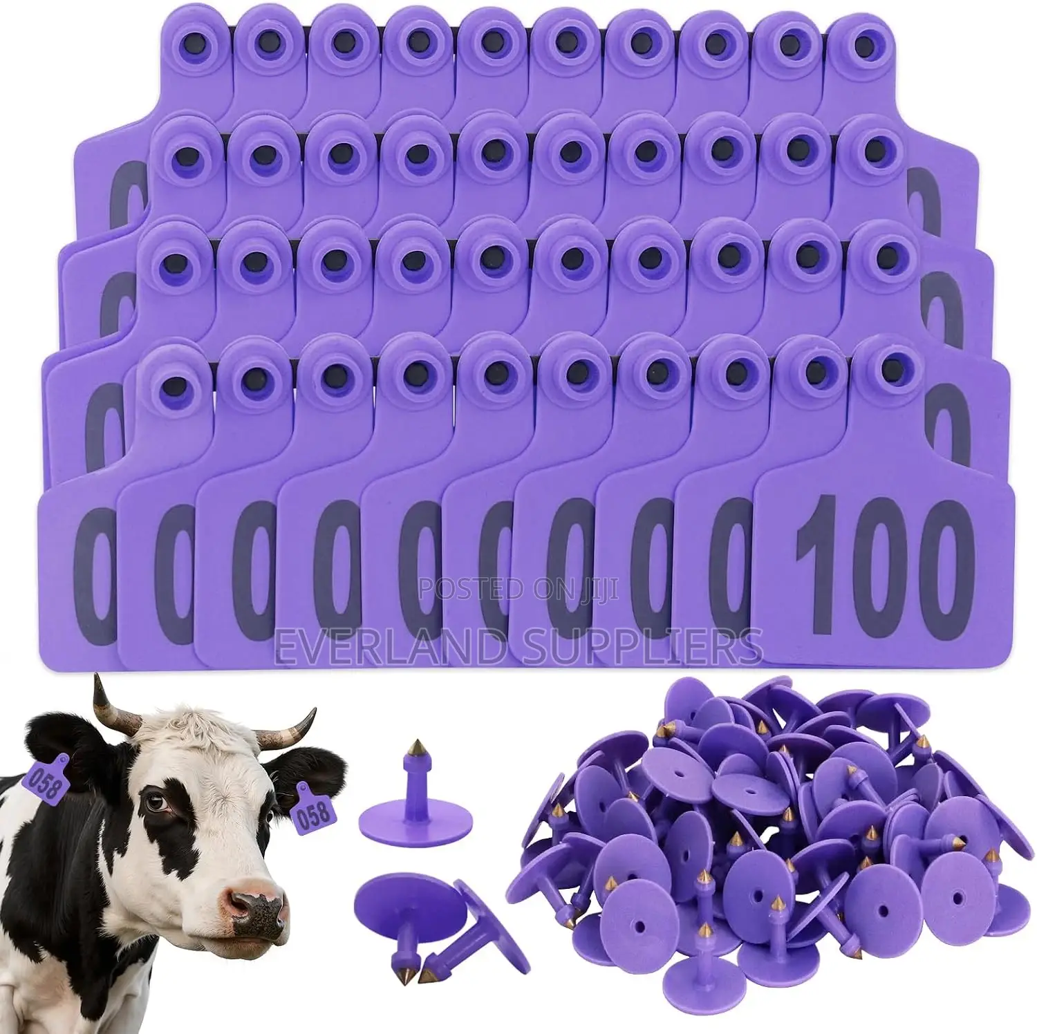 Database Identification Large Ear Tag Numbered