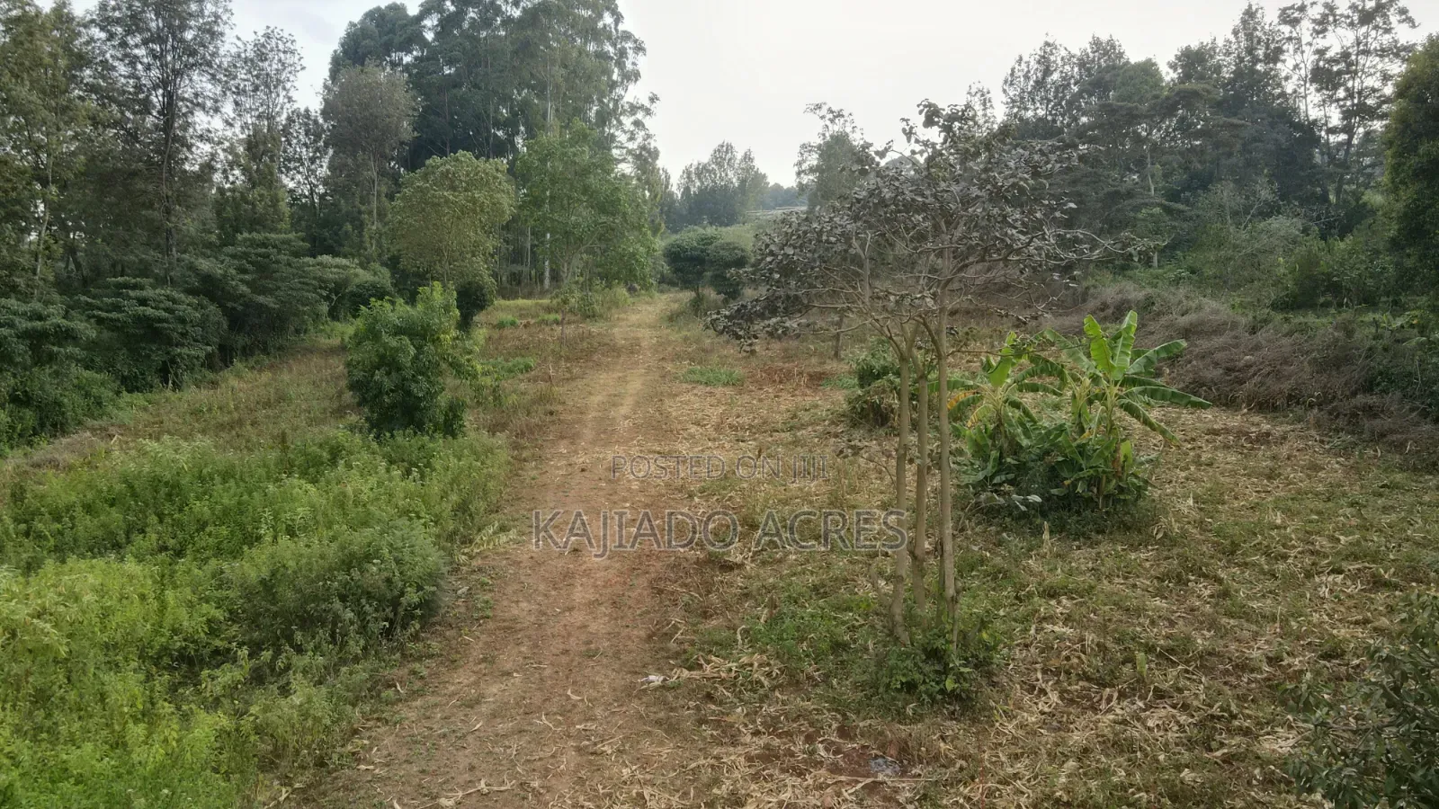 1/8 Acres Nhonh,maasai Road at 3m