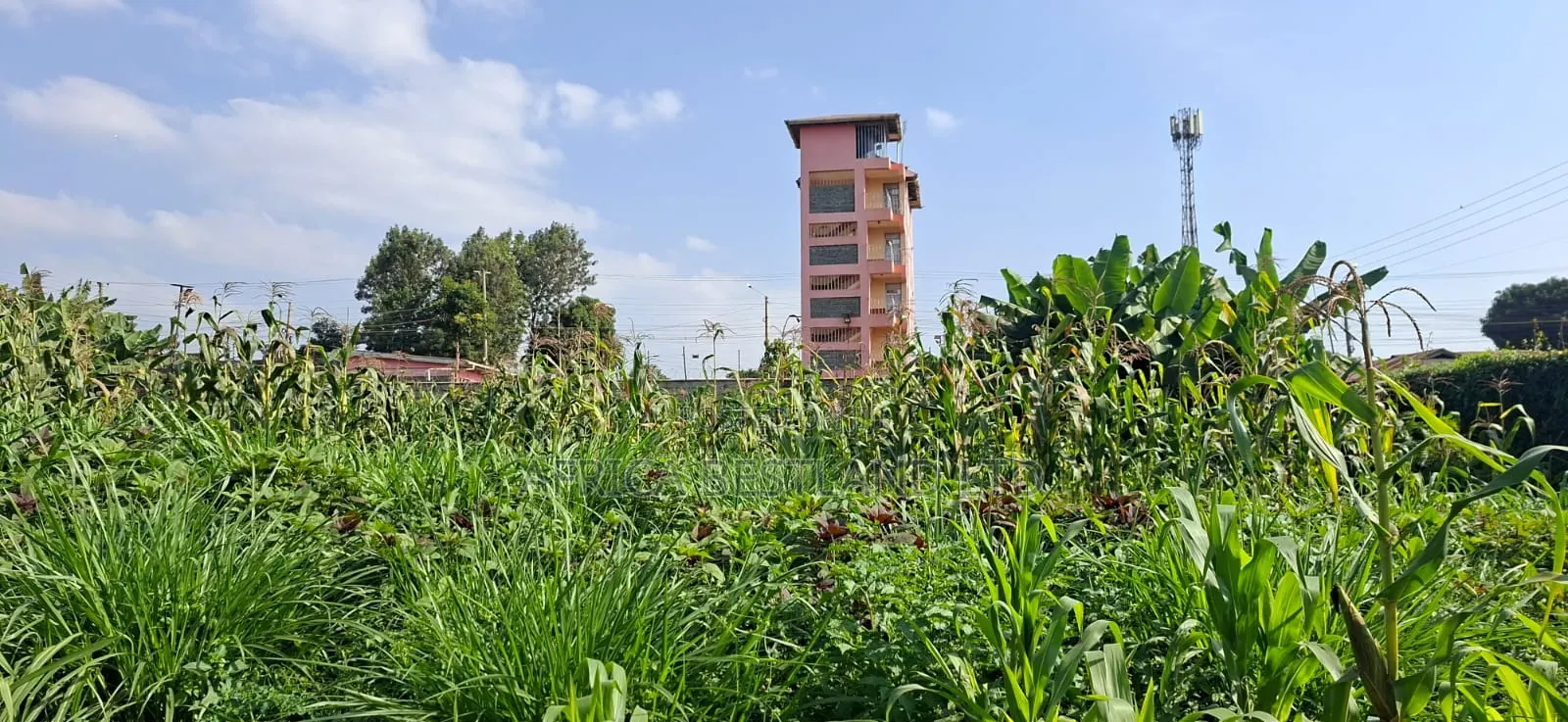 🏡 Prime 100×100 Plot for Sale – Lower Kabete