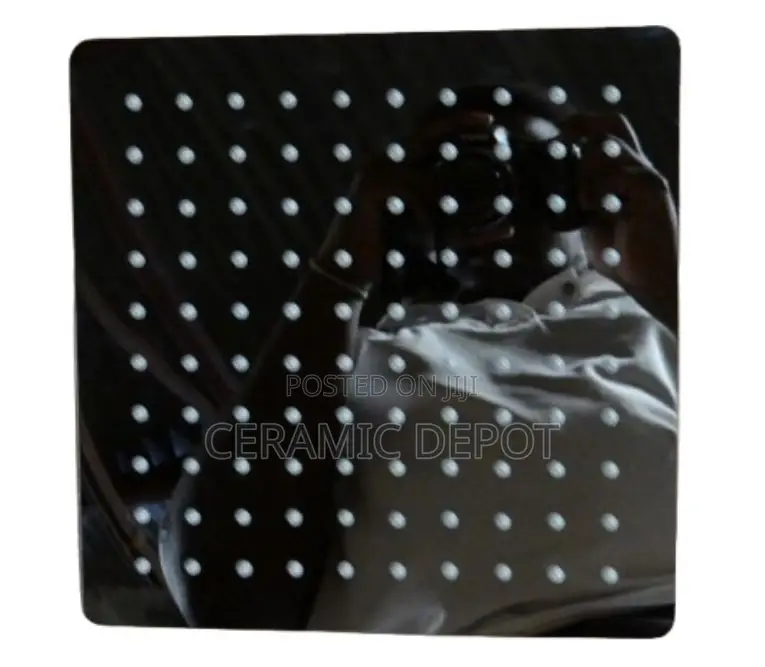 Shower Head 25