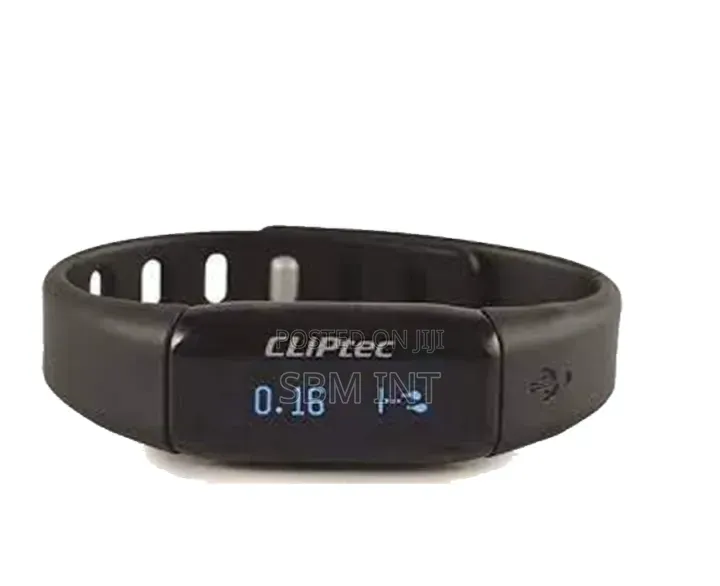 Pedometer Watch (Cliptec)