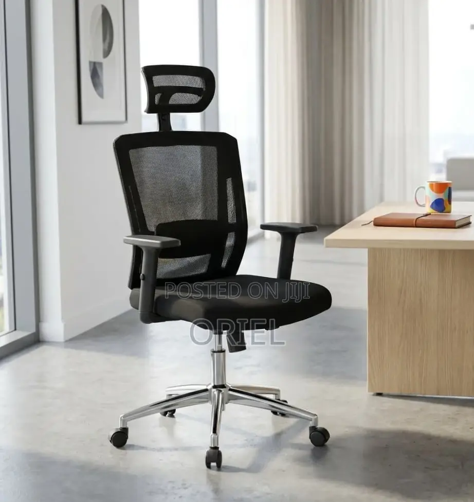 Office Chair : High Back Orthopedic Adjustable Chair