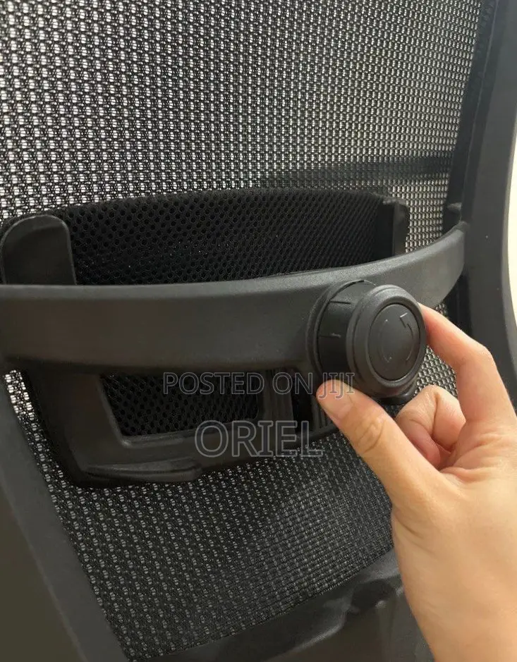 Office Chair : High Back Orthopedic Adjustable Chair