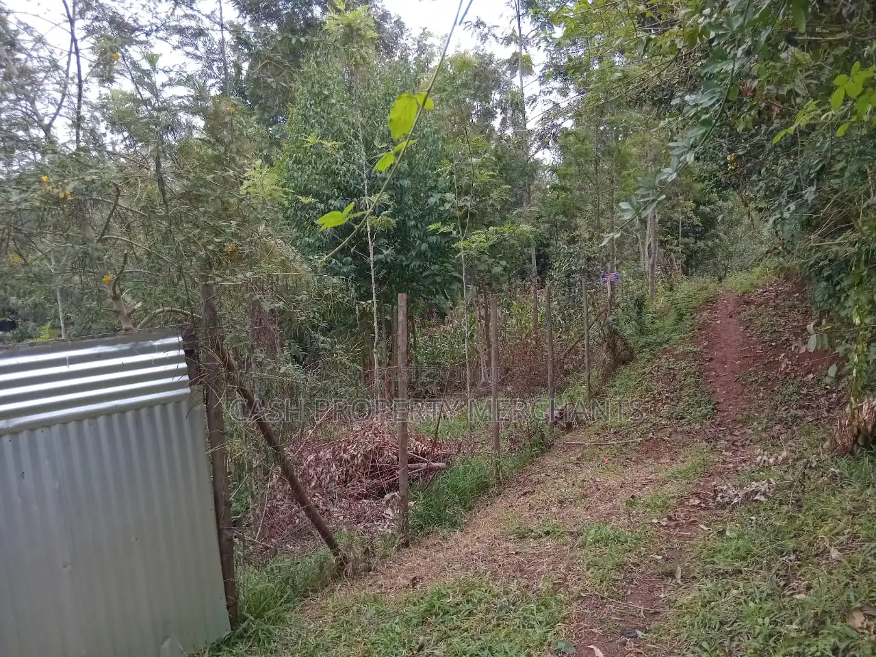 3⁄4 Acre Property With 2-Bedroom House – Githima, Murang'A
