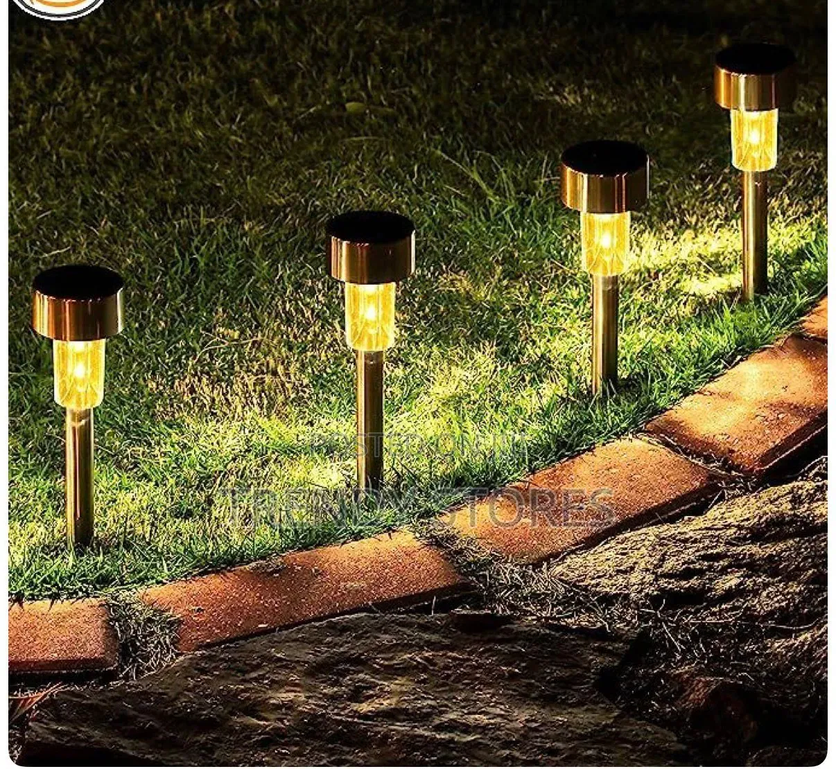 Solar Garden Lights
