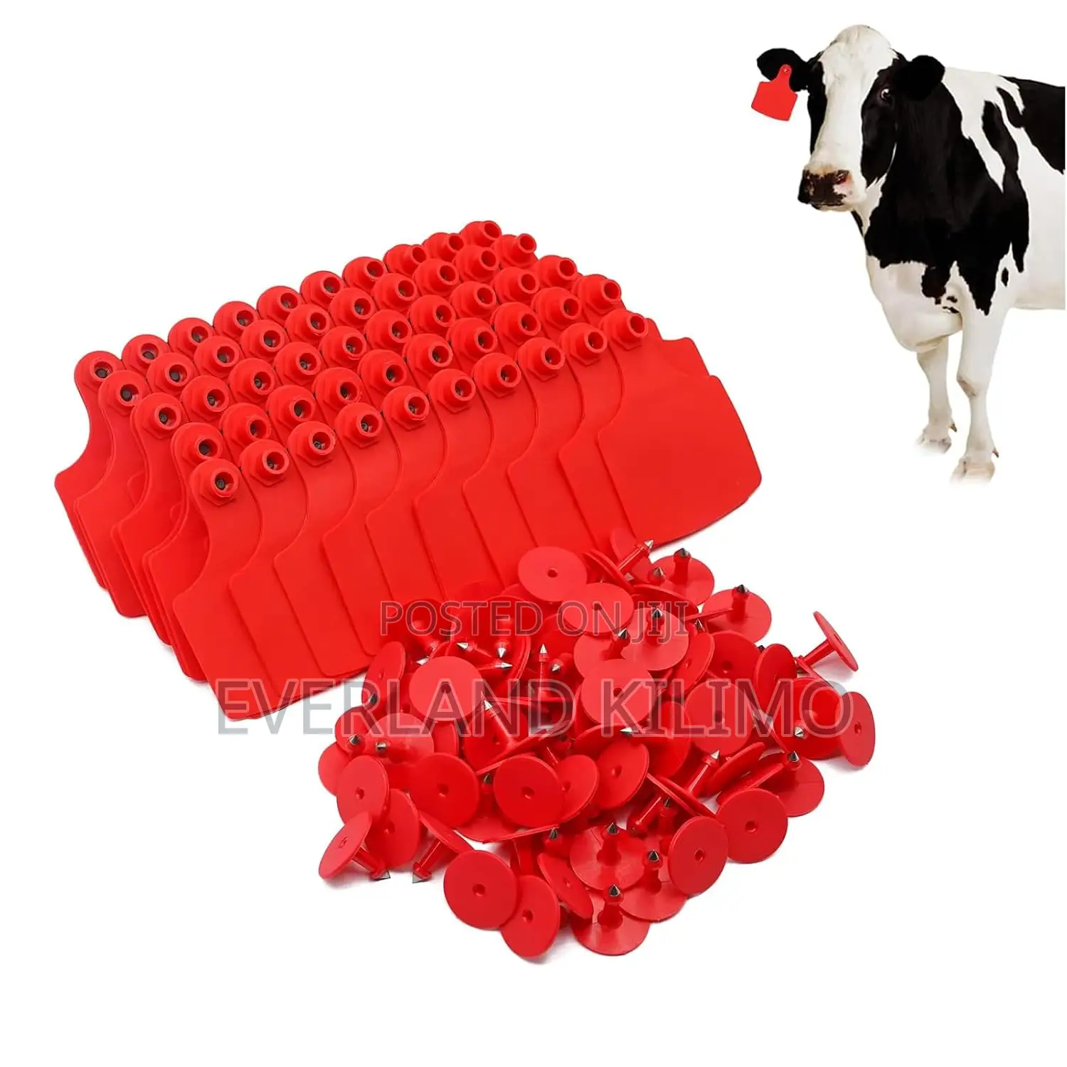 Inventory Control Cattle Ear Tag - Large