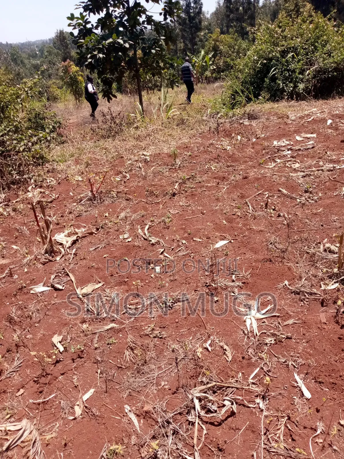 Kirwara Gatanga Prime 4.3 Acres @ 5 Millions Per Acre