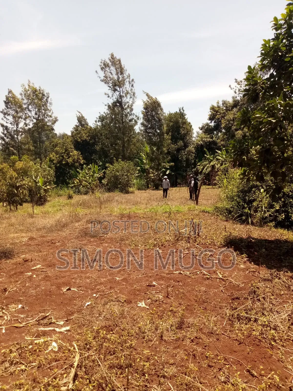 Kirwara Gatanga Prime 4.3 Acres @ 5 Millions Per Acre