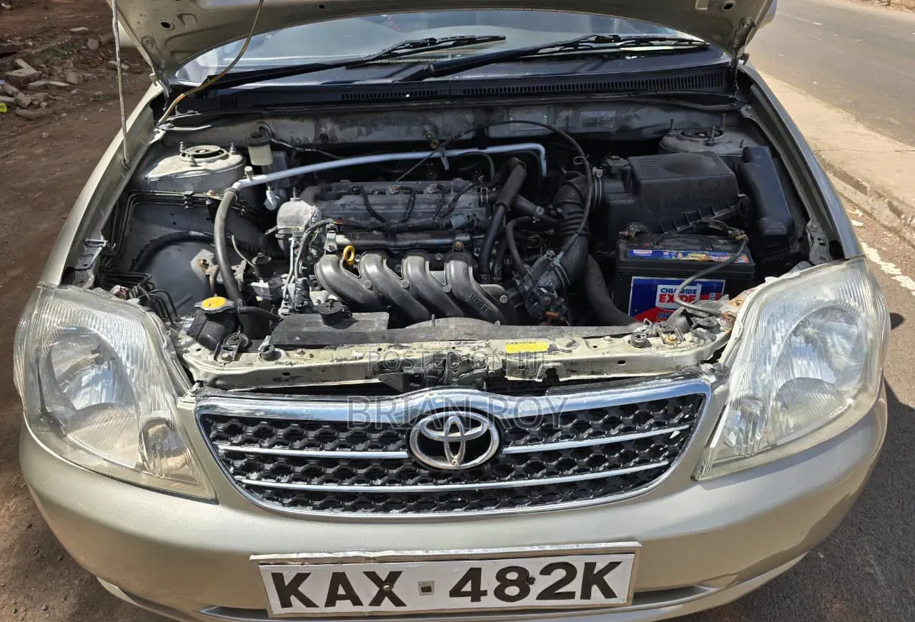 Toyota Corolla 2001 Gray