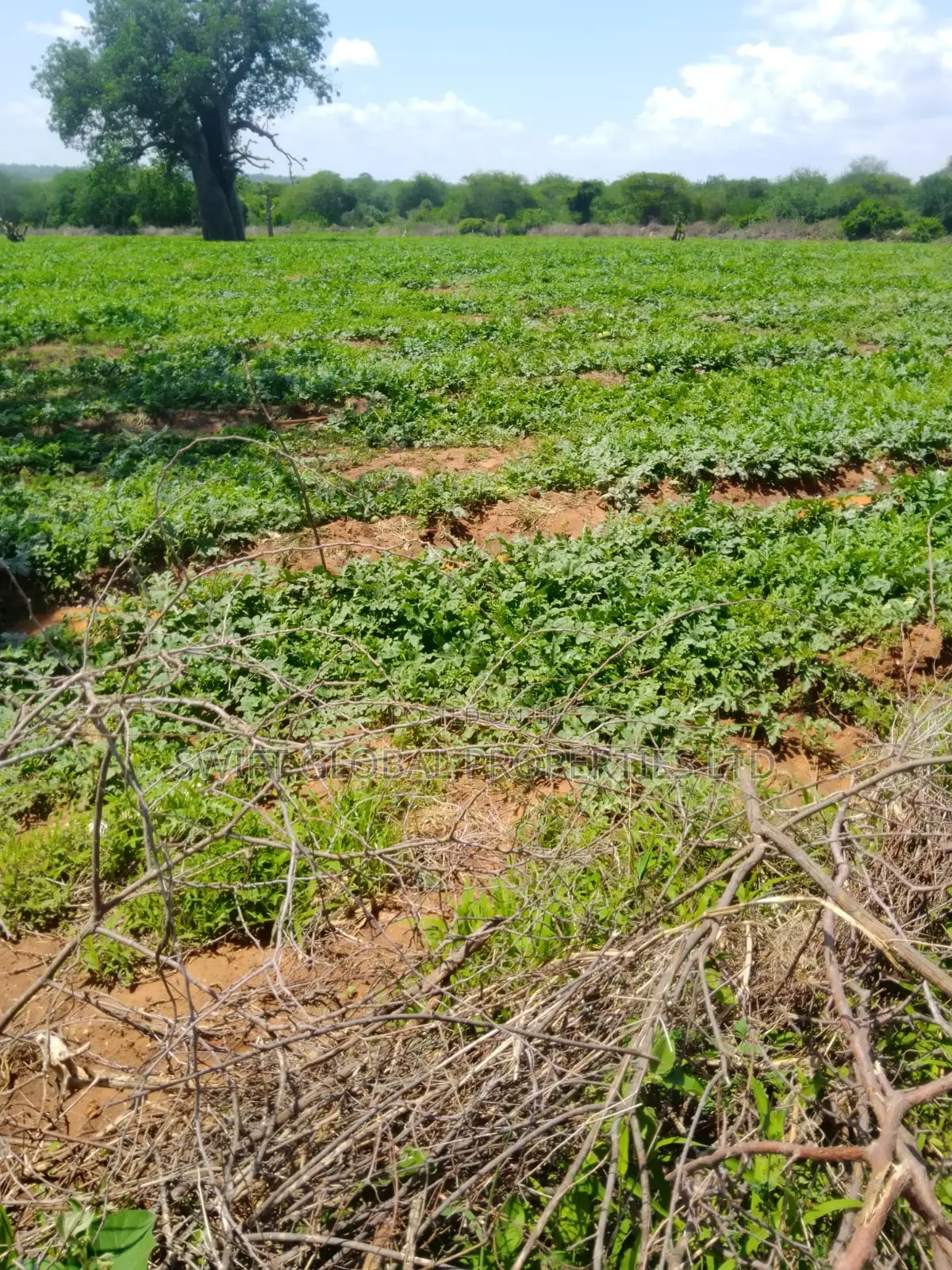240 Acres With Water Is Available on Quick Sale in Makueni Emali