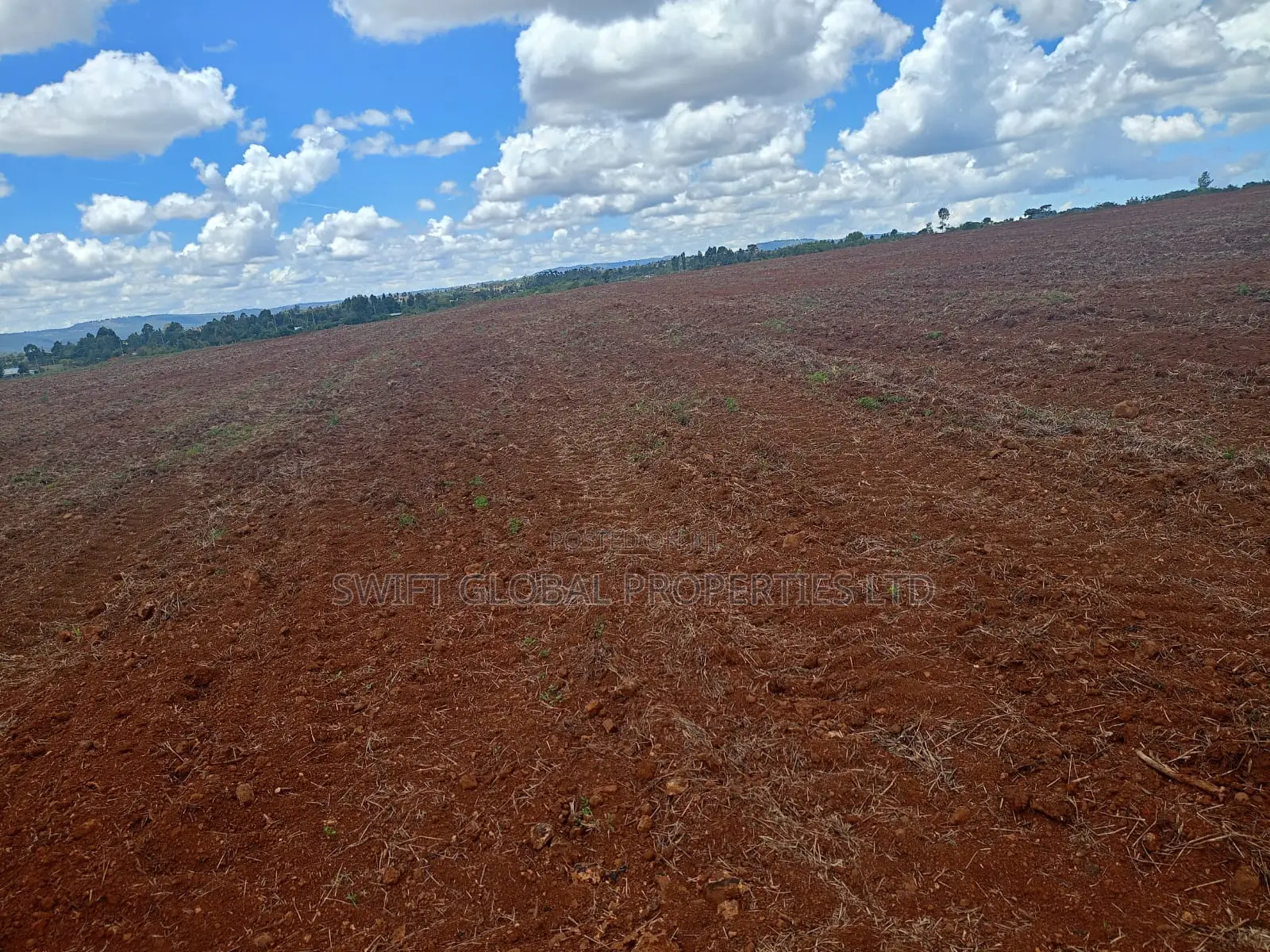 100 Acres Agricultural Land in Laikipia County Is Available for Sale