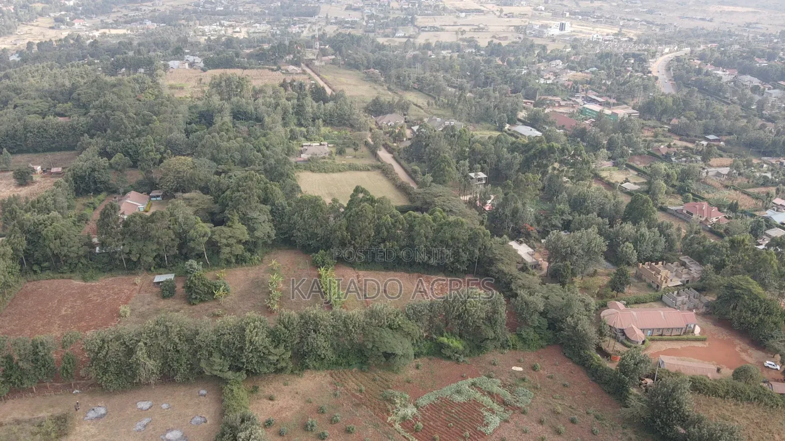 1 Acre Kibiku at 20m