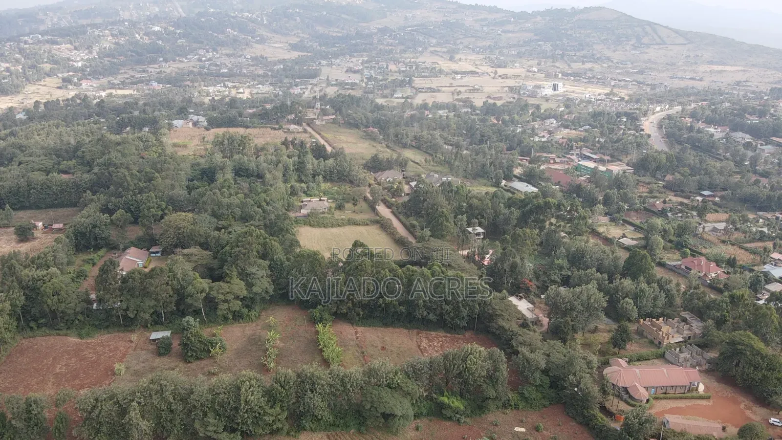 1 Acre Kibiku at 20m