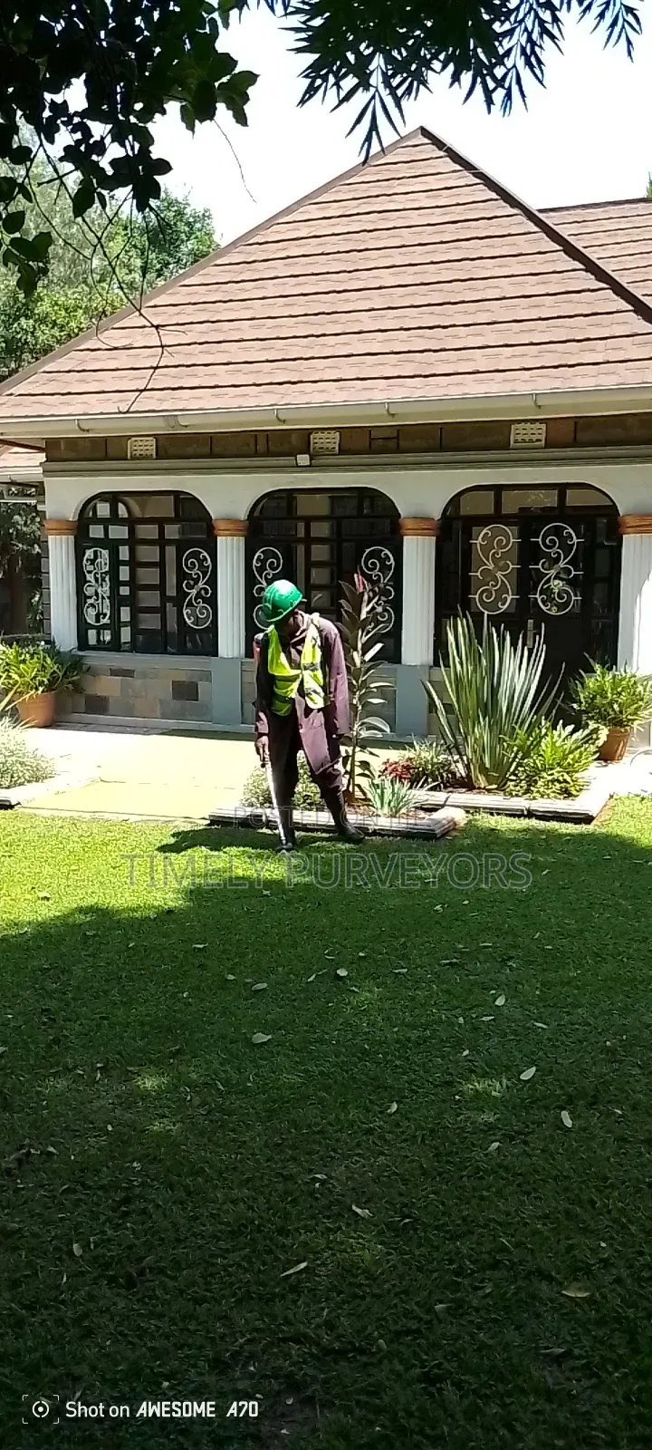 Mowing Services