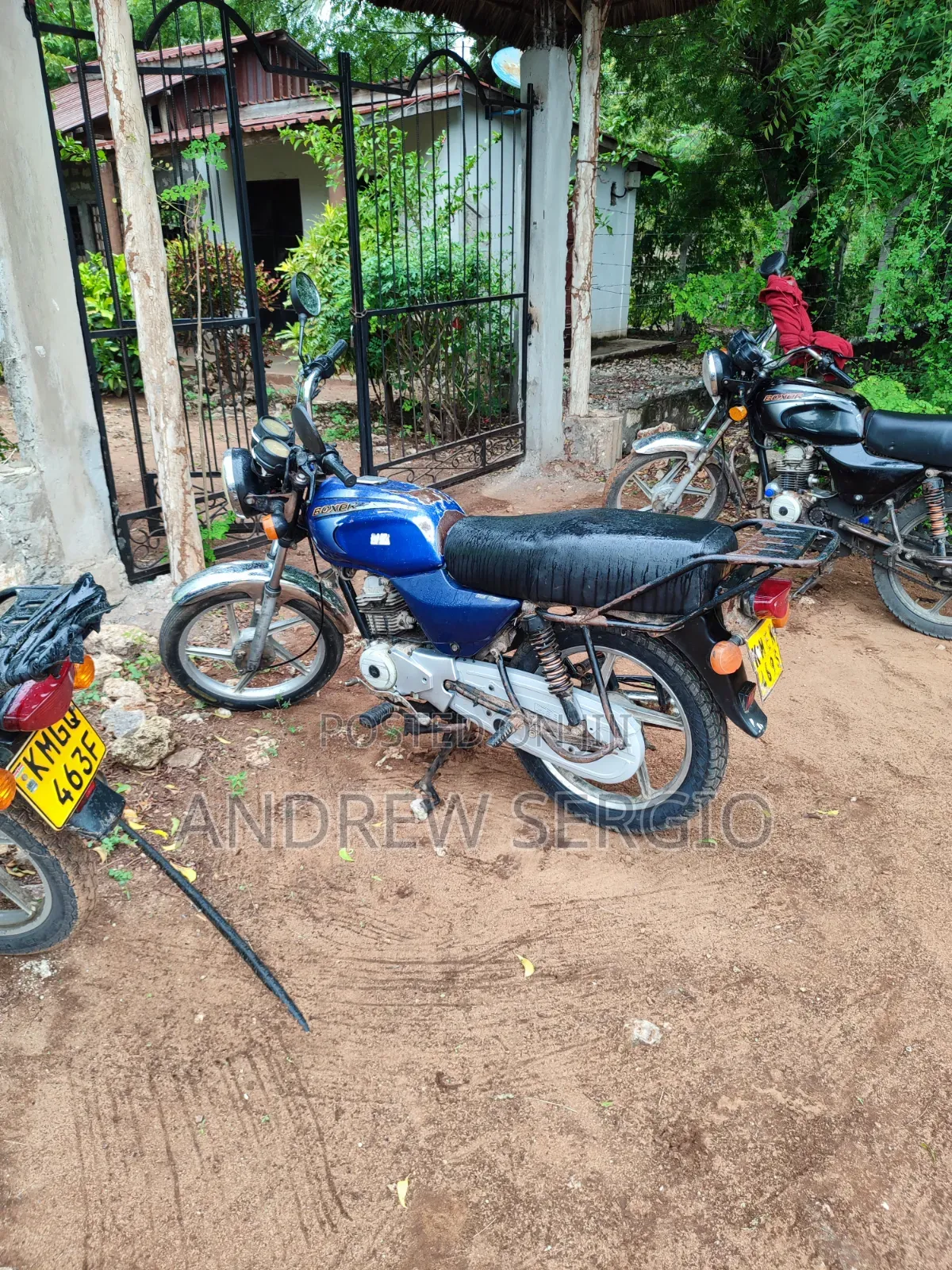 Bajaj Boxer 100 2016 Blue