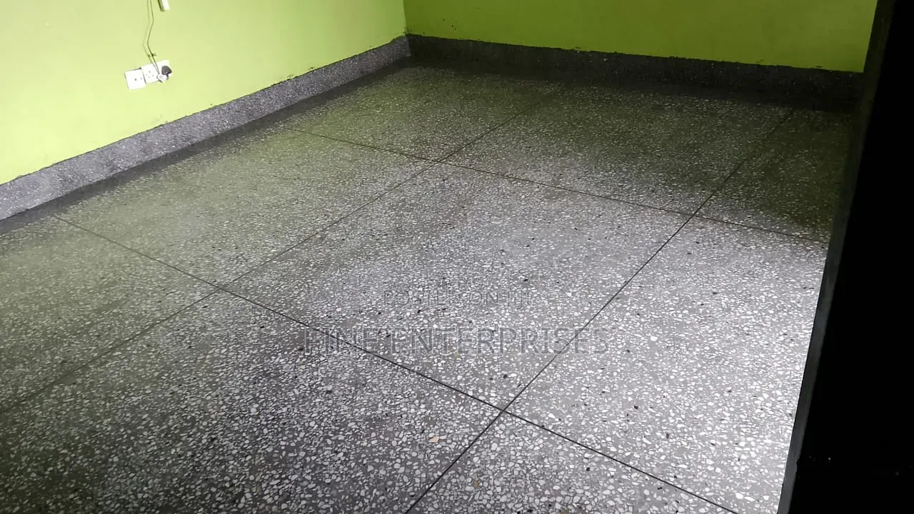 Terrazzo Chips