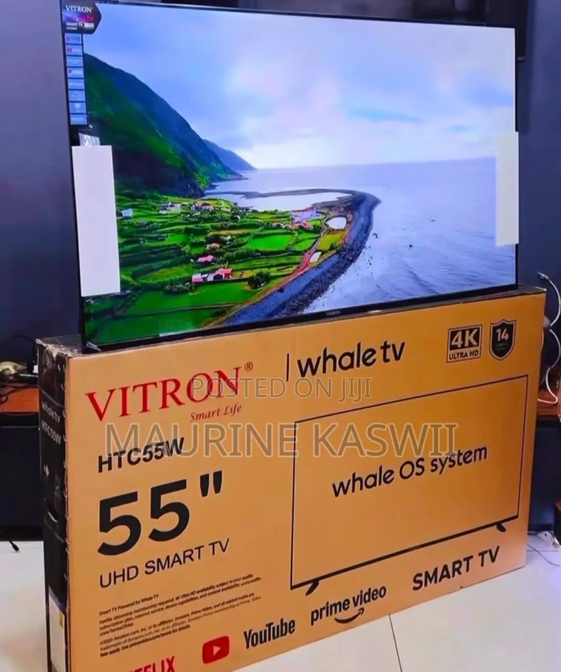 Vitron 55” Smart Whale TV