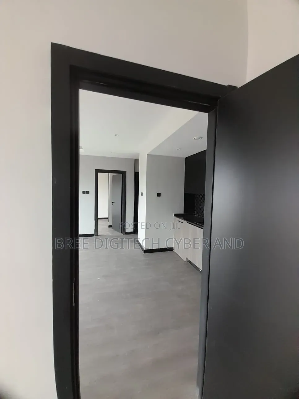 Modern House Painting Services