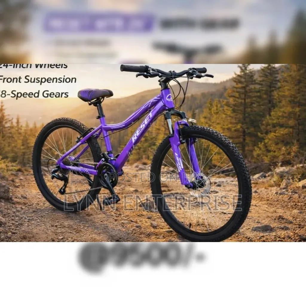 Reset MTB With Gear Size 24 Bicycle