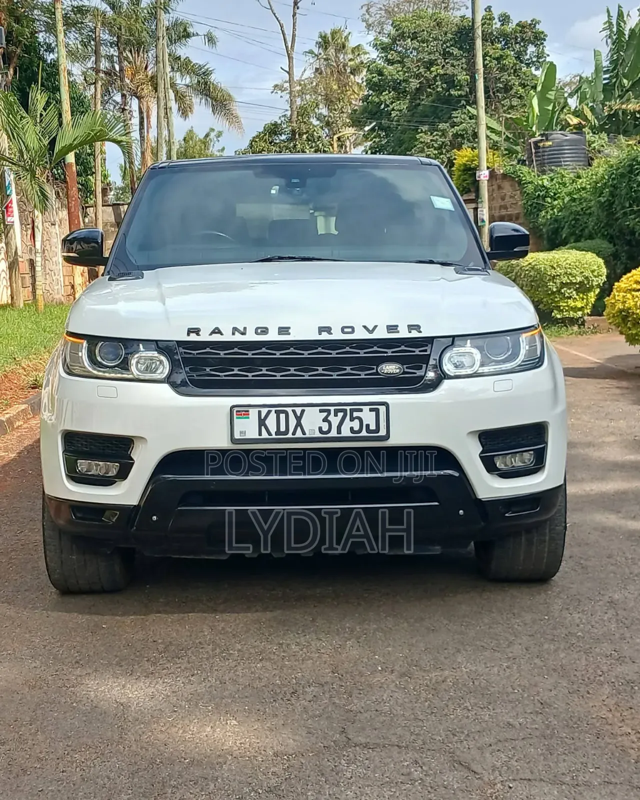 Rover Land 2015 White