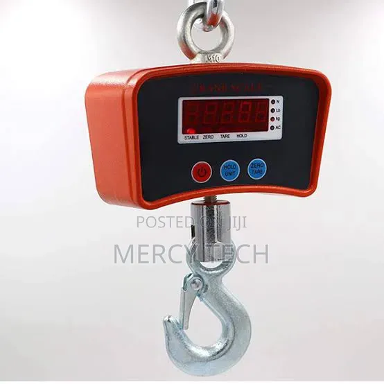 200kg Crane Scale