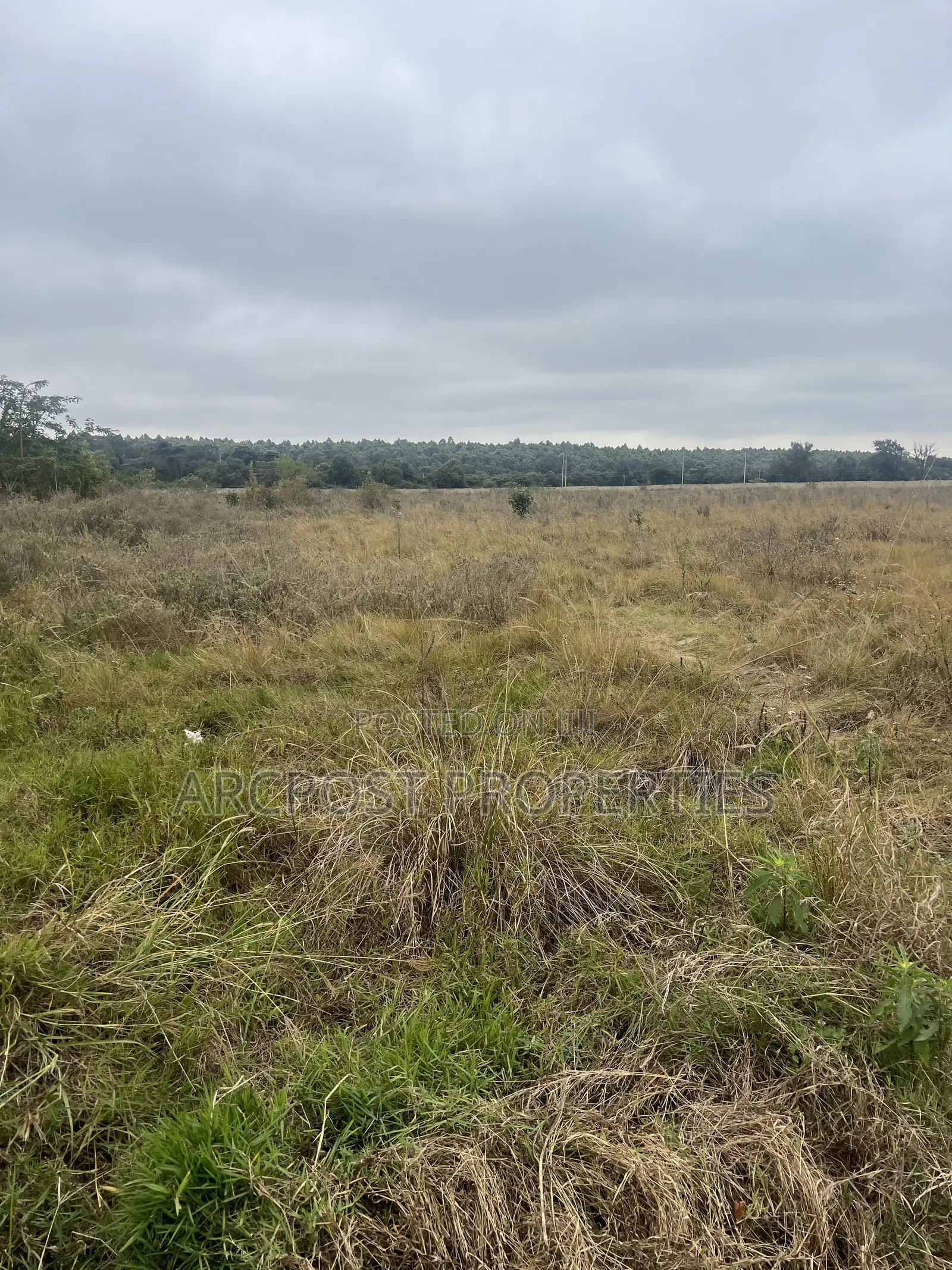 Prime 10 Acres for Sale in Karen Near Hillcrest – Gated Community