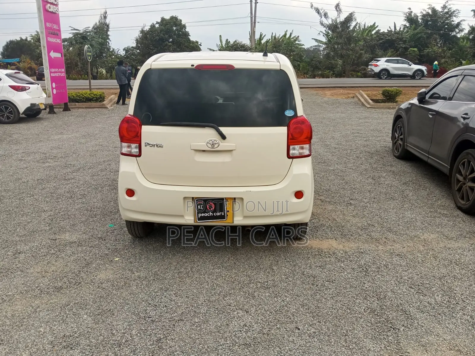 Toyota Porte 2018 Pearl