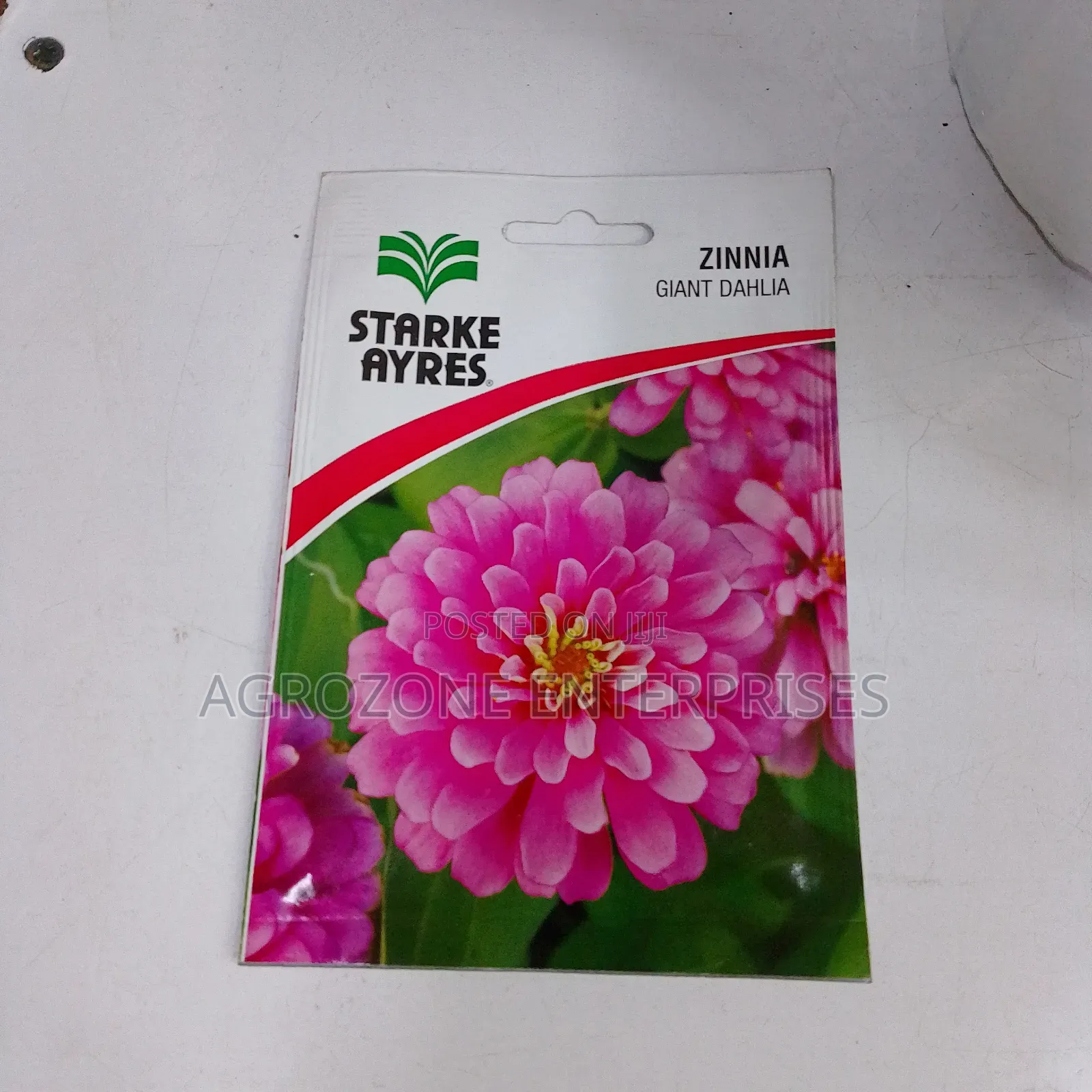Zinnia Giant Dahlia Flower Seed