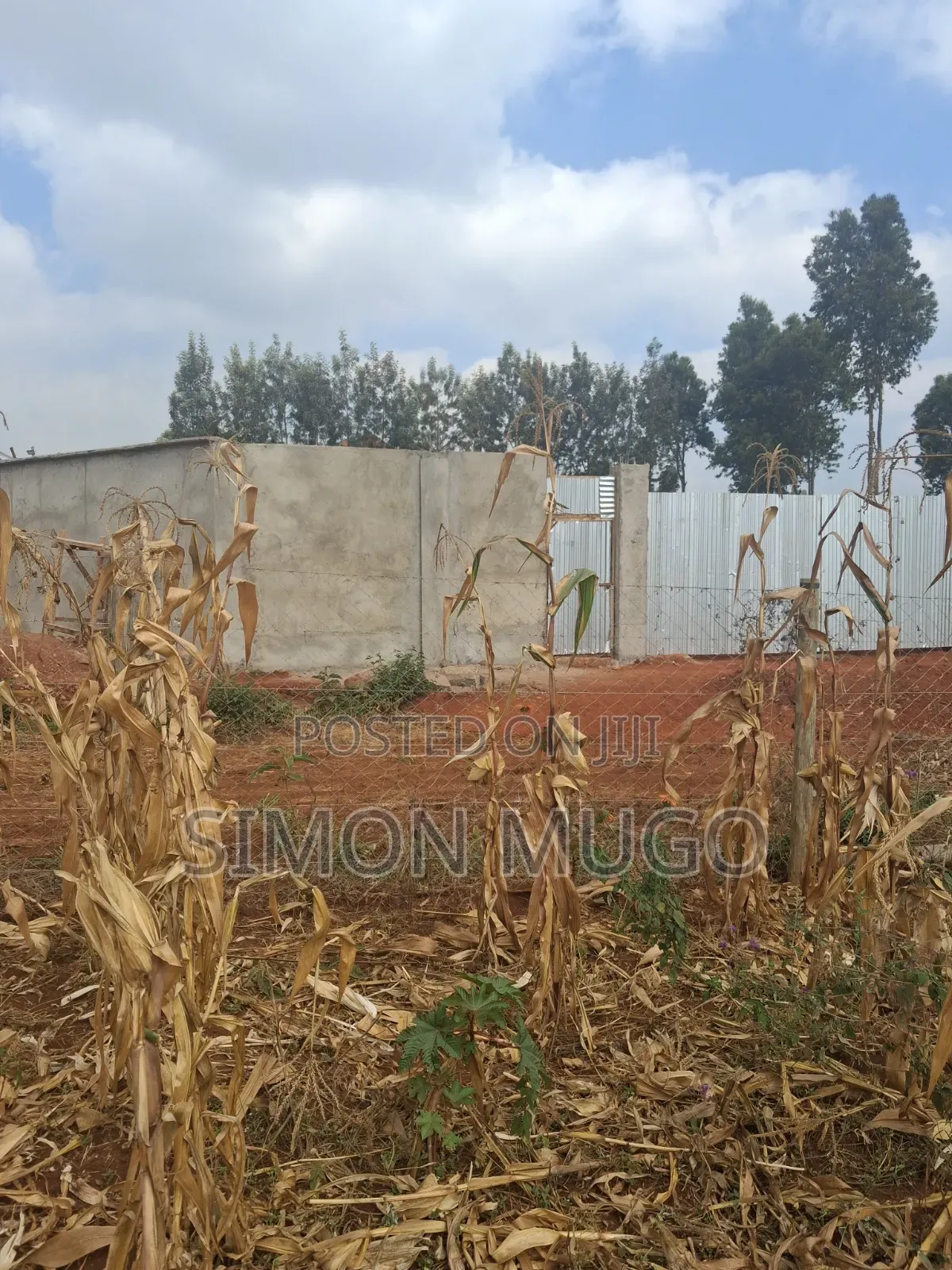 Valley View Kiambu Rd Prime Well Drained Red Soil 1/2 AC Corner Plot
