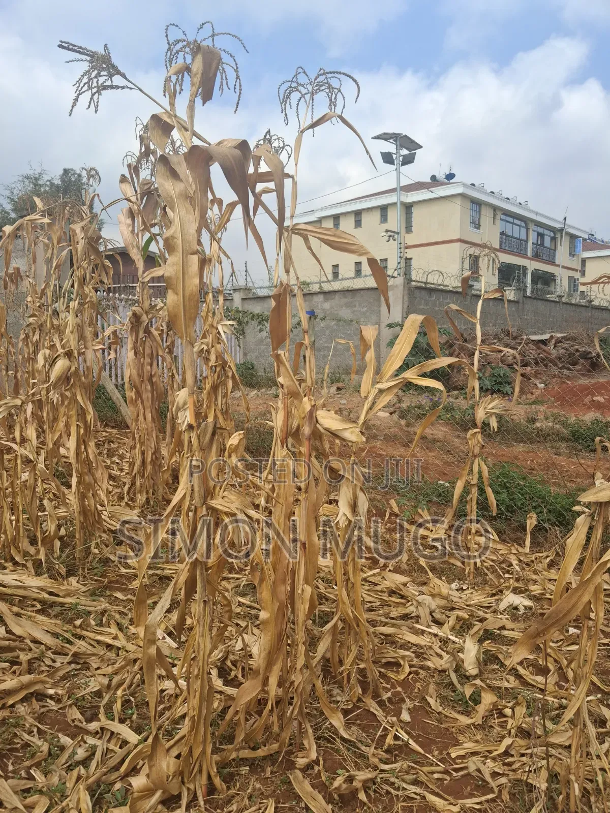 Valley View Kiambu Rd Prime Well Drained Red Soil 1/2 AC Corner Plot