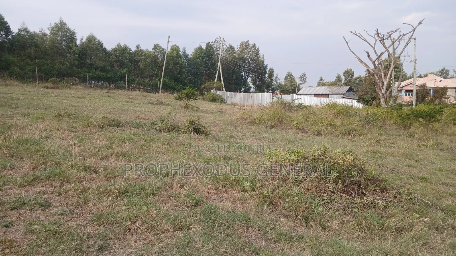 1/4 for Sale in Ongata Rongai, Kamura–Oloika Area