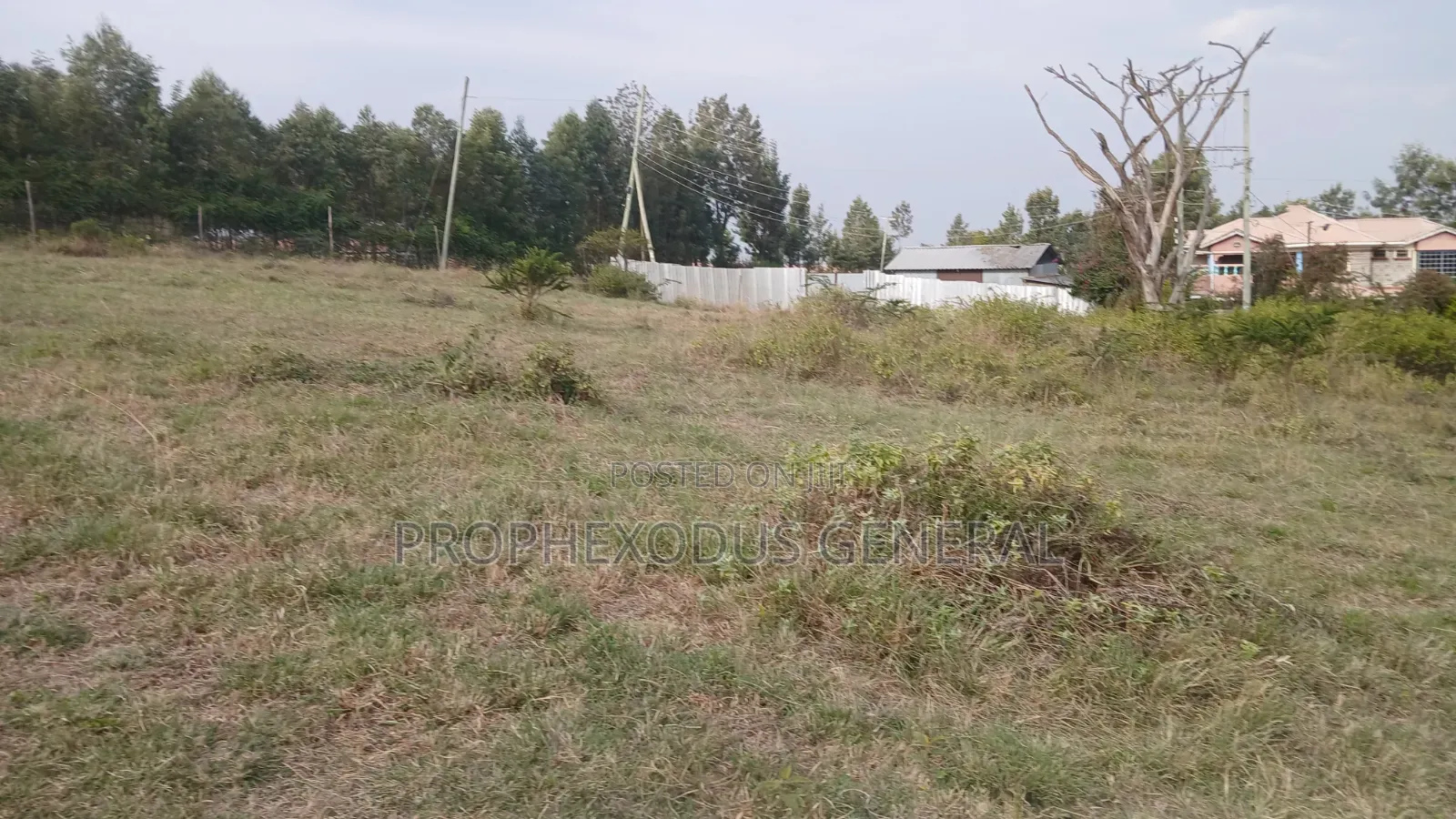 1/4 for Sale in Ongata Rongai, Kamura–Oloika Area