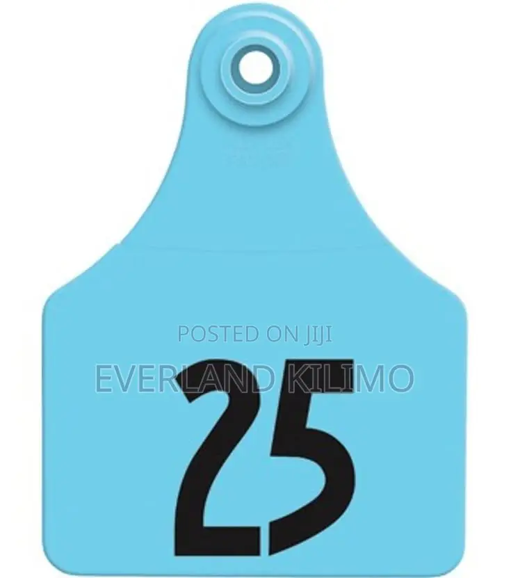 Farm Laser Numbered Ear Large Tags