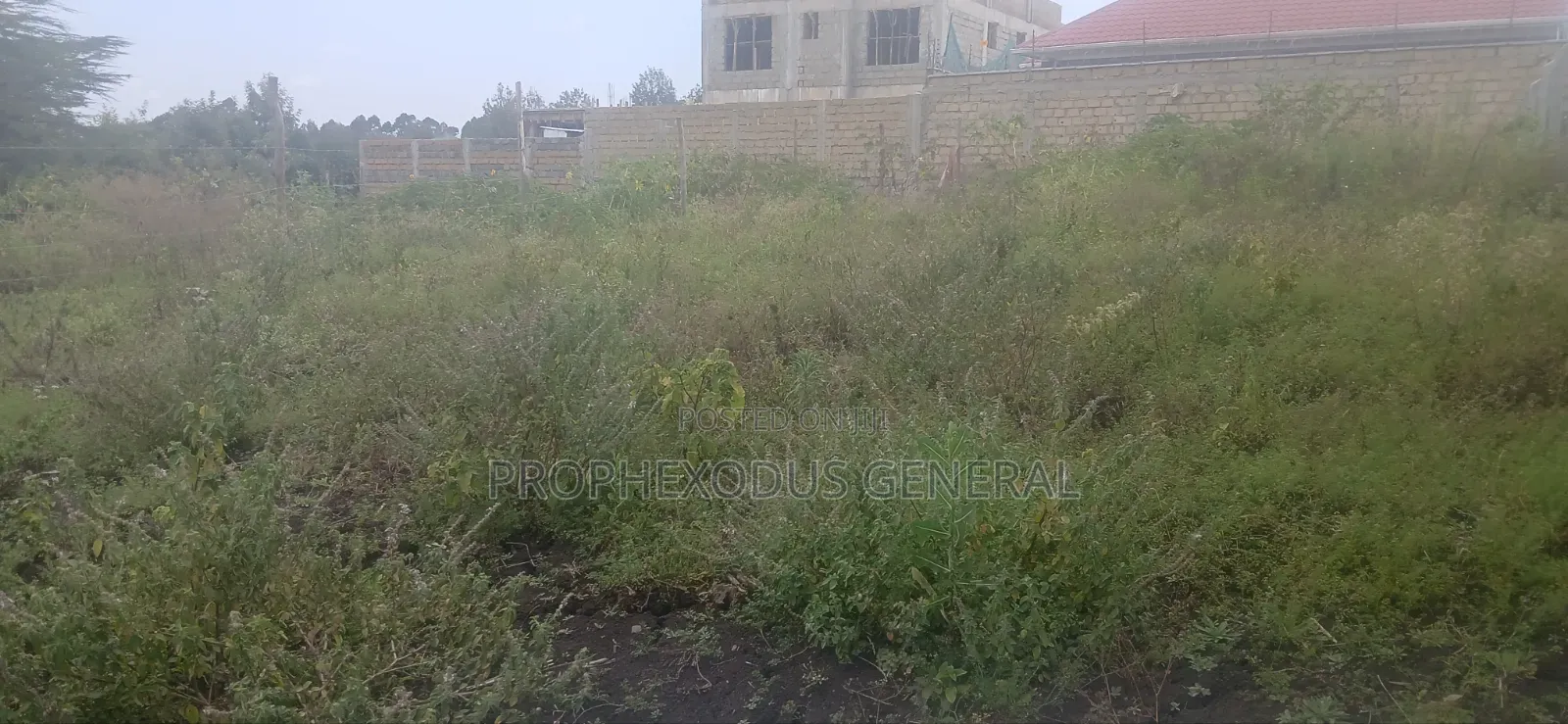 50ft by 100ft Prime Plots for Sale in O/Rongai Nkoroi Merisho Road.