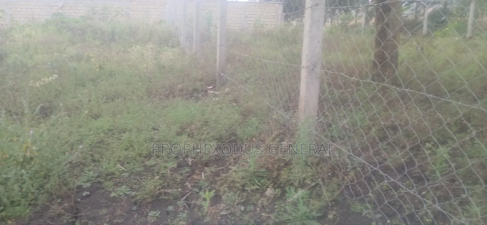 50ft by 100ft Prime Plots for Sale in O/Rongai Nkoroi Merisho Road.
