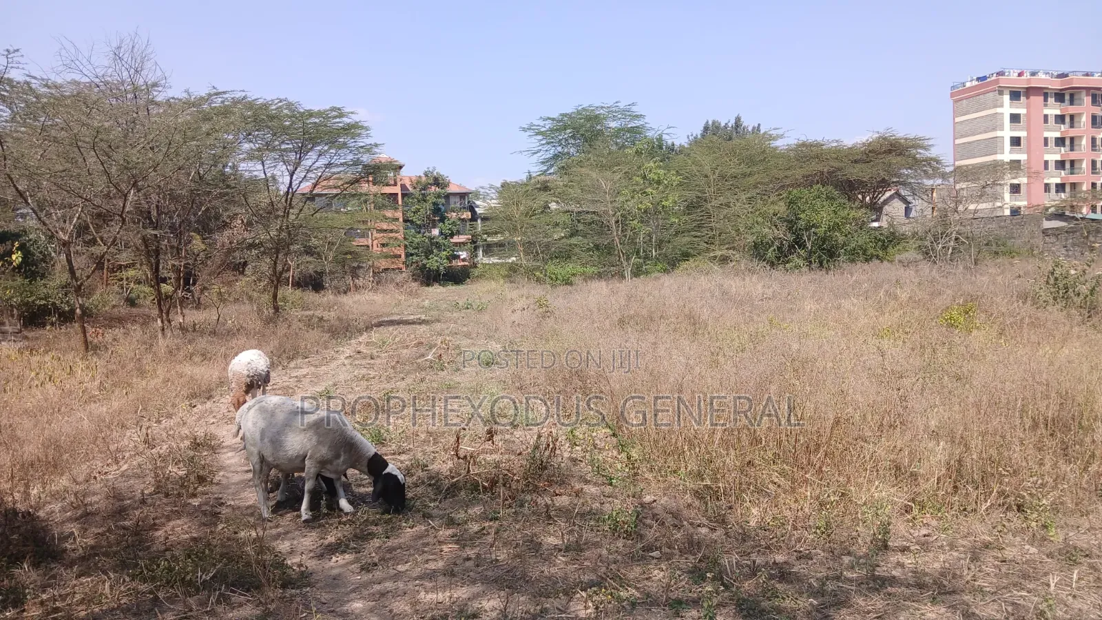 1/4 Acre Commercial Plots for Sale in Ongata Rongai Town.