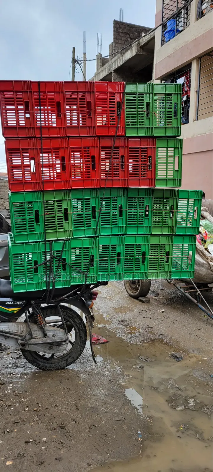 Onion Storage Plastic Crates