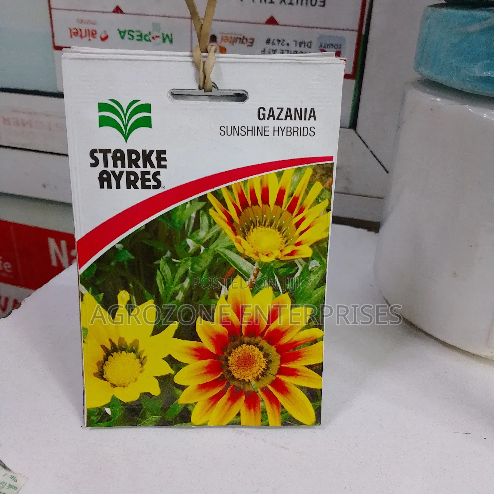 Gazania Sunshine Hybrid Seed Flower 0.3