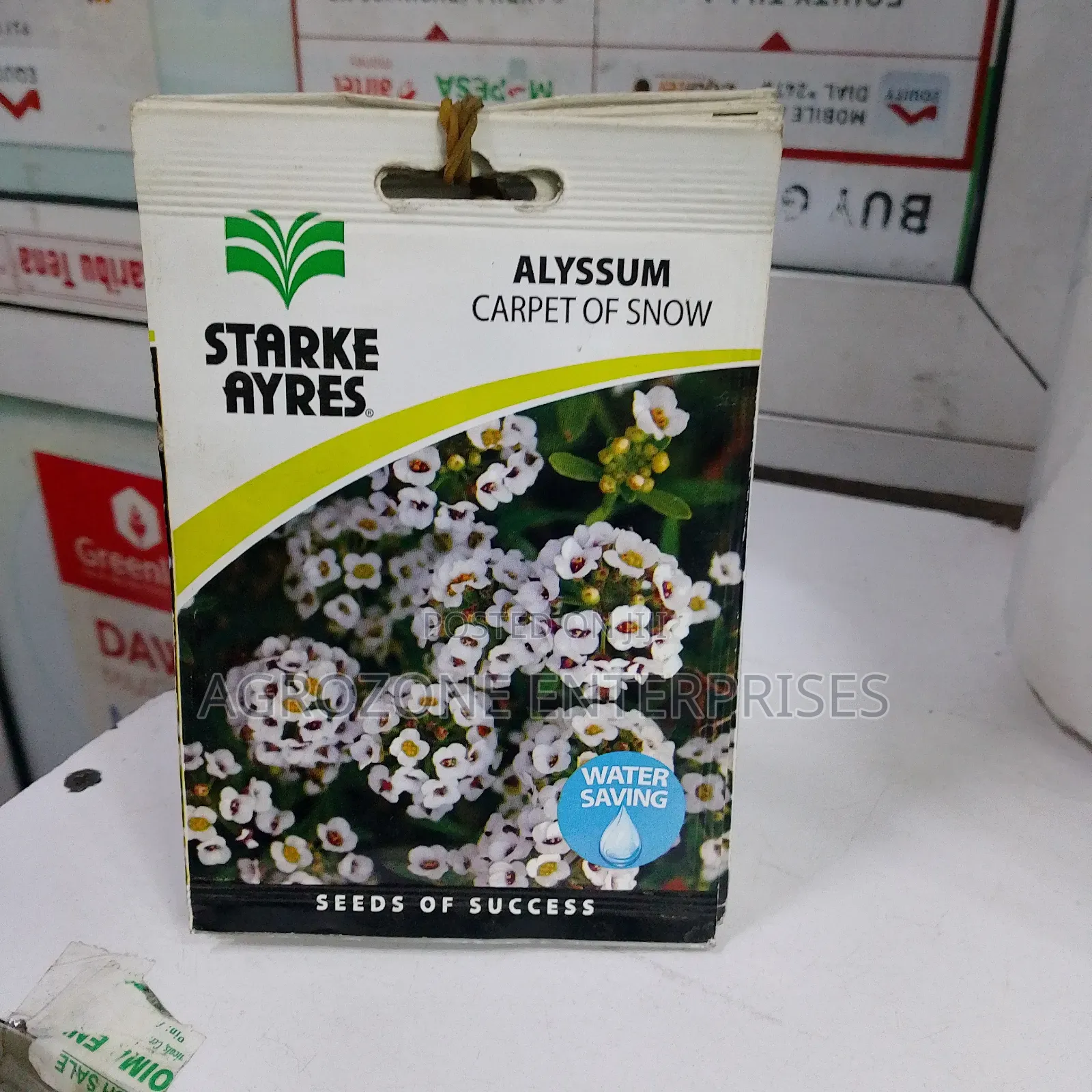 Alyssum Carpet of Snow Flower Seed