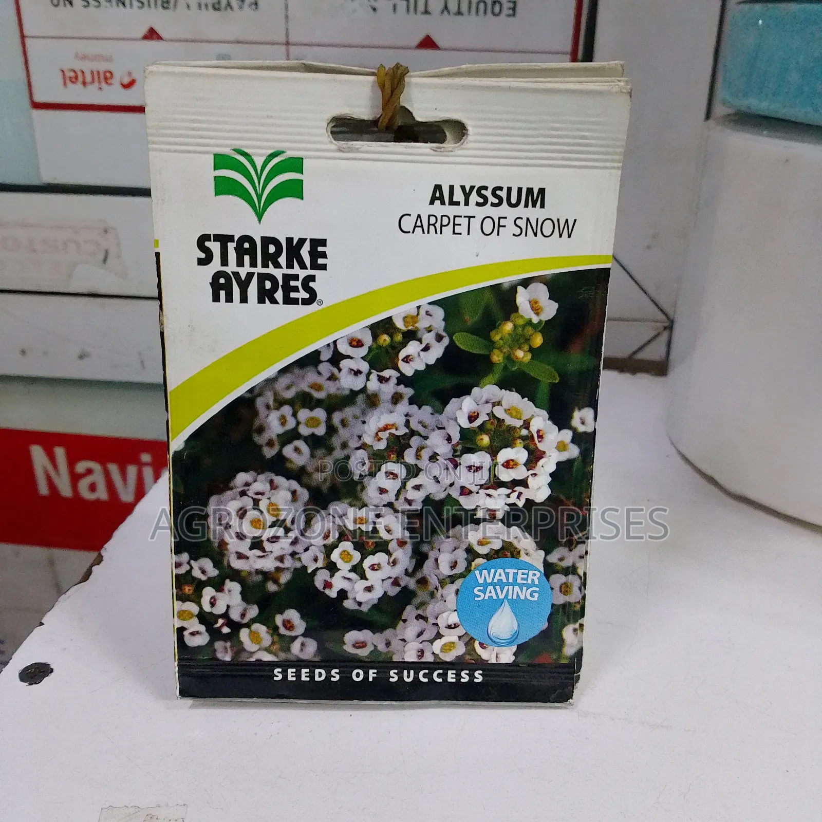 Alyssum Carpet of Snow Flower Seed