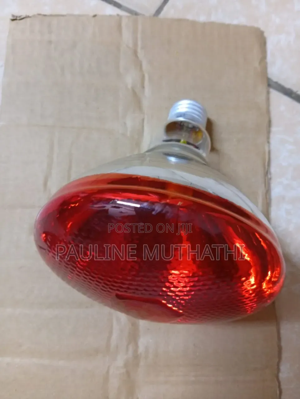 Quality Infrared Brooding Bulbs