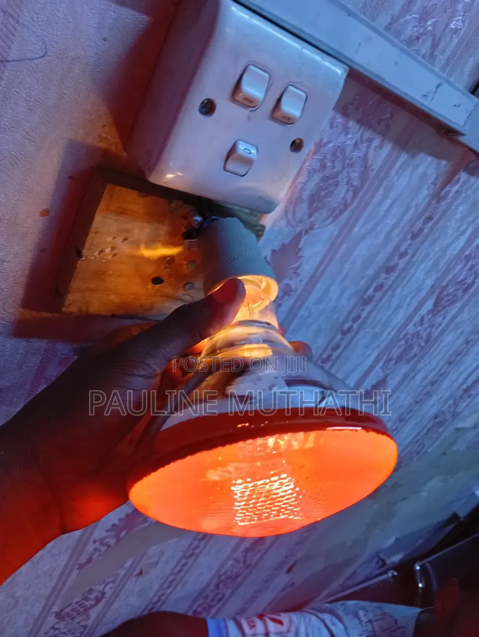 Quality Infrared Brooding Bulbs