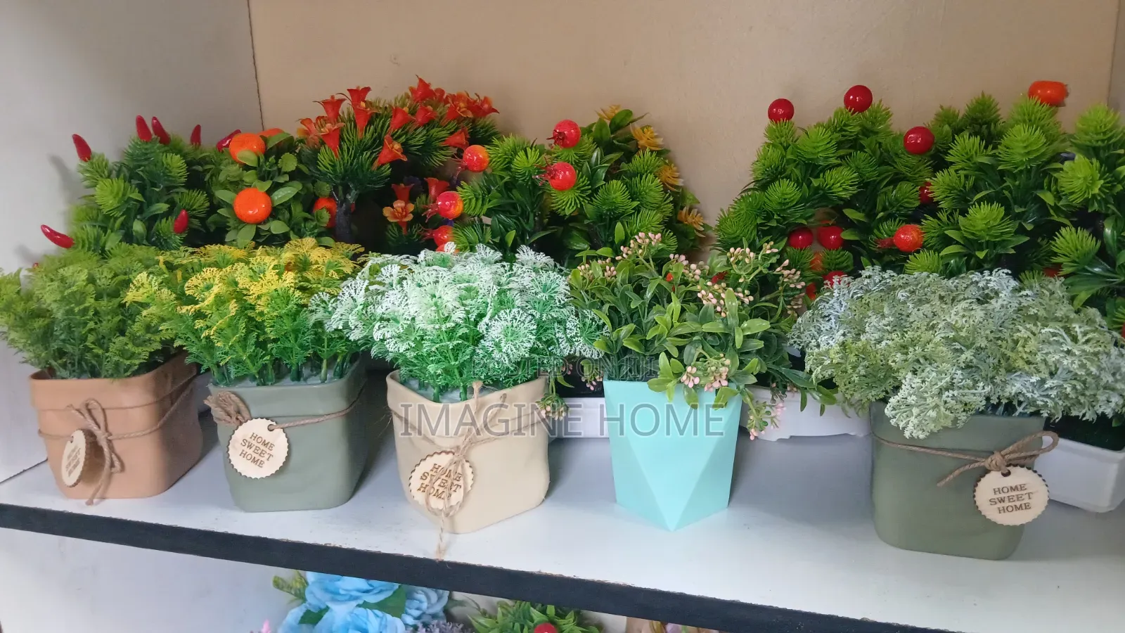 Beautiful Flowers