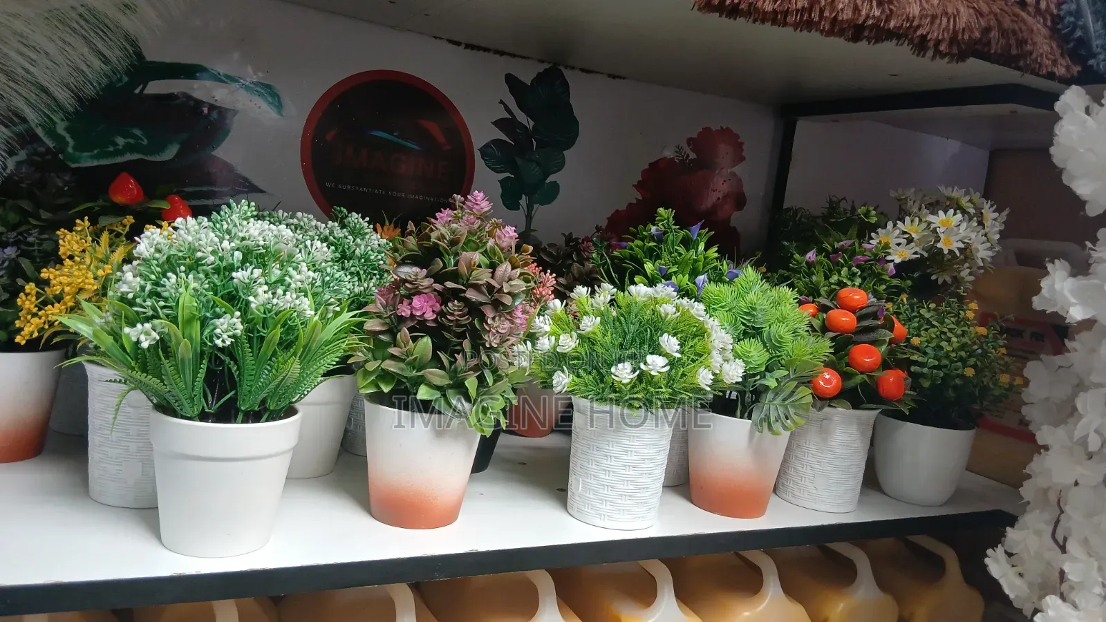 Beautiful Flowers