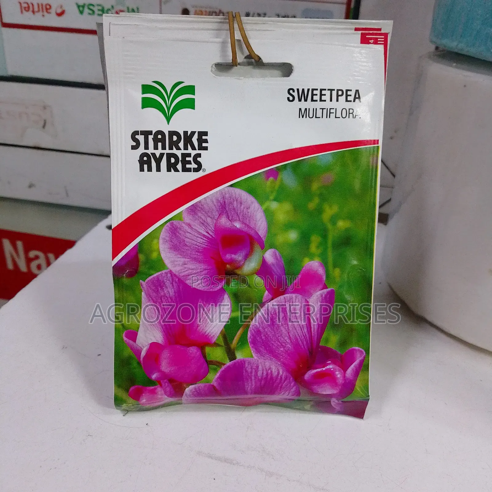 Sweetpea Multiflora Flowers Seed