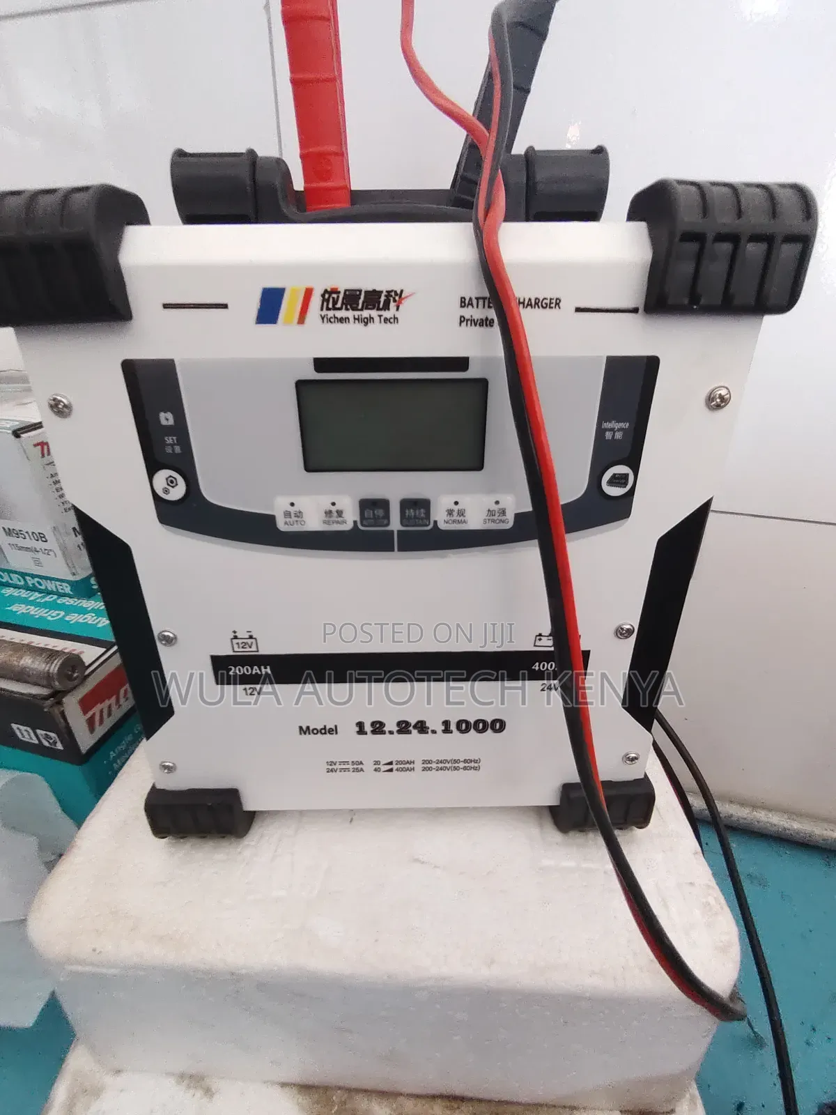 Standard and Strong Charging Nodes Car Battery Charger Sunshine Italy