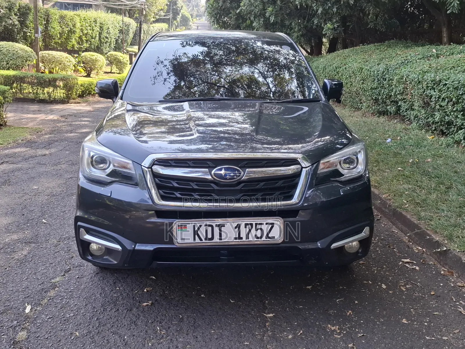 Subaru Forester 2016 Gray